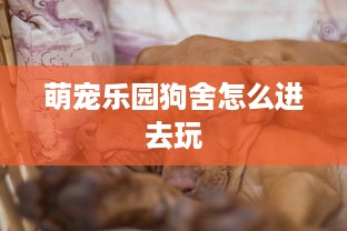 萌宠乐园狗舍怎么进去玩