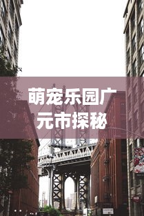 萌宠乐园广元市探秘