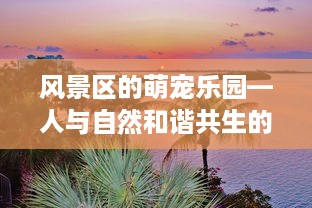 风景区的萌宠乐园—人与自然和谐共生的乐园
