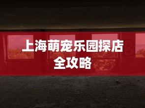上海萌宠乐园探店全攻略