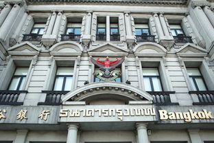 上海萌宠乐园探店全攻略