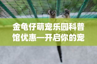 金龟仔萌宠乐园科普馆优惠—开启你的宠物探险之旅