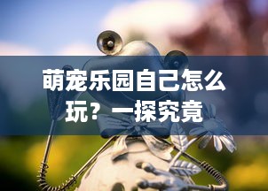 萌宠乐园自己怎么玩？一探究竟