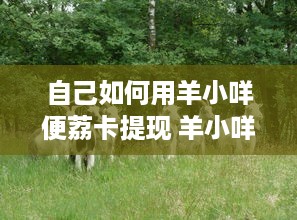自己如何用羊小咩便荔卡提现 羊小咩便荔卡提现攻略，轻松操作，快速到账！