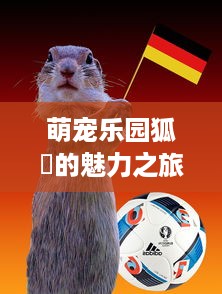 萌宠乐园狐獴的魅力之旅