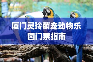 厦门灵玲萌宠动物乐园门票指南