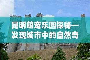 昆明萌宠乐园探秘—发现城市中的自然奇趣