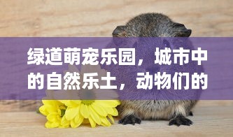 绿道萌宠乐园，城市中的自然乐土，动物们的欢乐天地