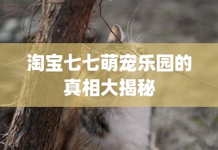 淘宝七七萌宠乐园的真相大揭秘