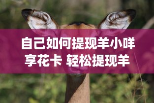自己如何提现羊小咩享花卡 轻松提现羊小咩享花卡，让你的消费更灵活！
