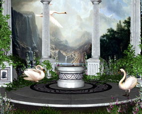 打造梦幻萌宠乐园户外布置方案