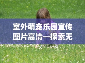 室外萌宠乐园宣传图片高清—探索无限欢乐天地