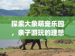探索大象萌宠乐园，亲子游玩的理想之地
