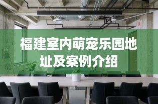 福建室内萌宠乐园地址及案例介绍