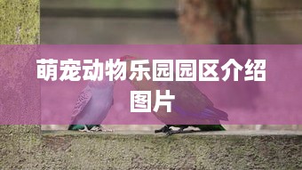 萌宠动物乐园园区介绍图片
