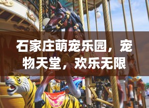 石家庄萌宠乐园，宠物天堂，欢乐无限