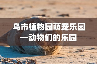 乌市植物园萌宠乐园—动物们的乐园