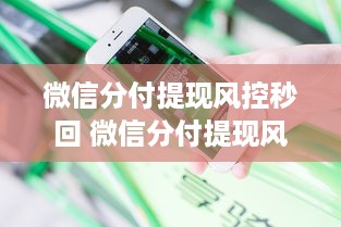 微信分付提现风控秒回 微信分付提现风控秒回，揭秘背后的安全守护神！