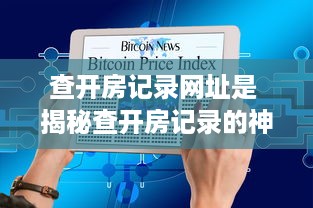 查开房记录网址是 揭秘查开房记录的神秘网址，让你轻松掌握信息！