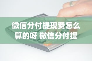 微信分付提现费怎么算的呀 微信分付提现费攻略，揭秘费用计算方式及案例解析