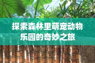 探索森林里萌宠动物乐园的奇妙之旅