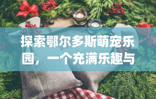 探索鄂尔多斯萌宠乐园，一个充满乐趣与惊喜的地方