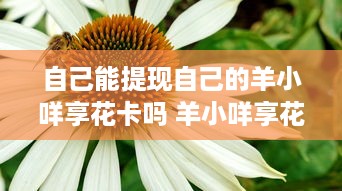 自己能提现自己的羊小咩享花卡吗 羊小咩享花卡，我能自己提现吗？揭秘使用指南与案例分享