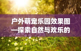 户外萌宠乐园效果图—探索自然与欢乐的完美结合