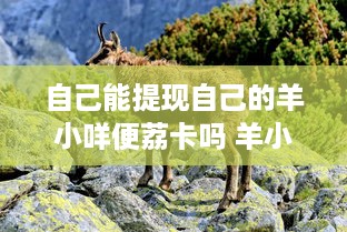 自己能提现自己的羊小咩便荔卡吗 羊小咩便荔卡，我能提现吗？揭秘你的卡里余额如何变现