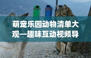 萌宠乐园动物清单大观—趣味互动视频导引
