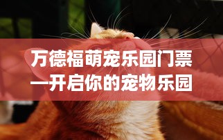 万德福萌宠乐园门票—开启你的宠物乐园之旅