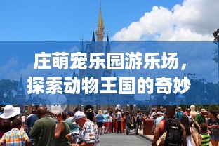 庄萌宠乐园游乐场，探索动物王国的奇妙之旅