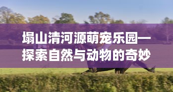 塌山清河源萌宠乐园—探索自然与动物的奇妙之旅