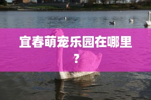 宜春萌宠乐园在哪里？