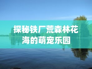 探秘铁厂荒森林花海的萌宠乐园