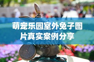 萌宠乐园室外兔子图片真实案例分享