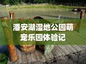 潘安湖湿地公园萌宠乐园体验记
