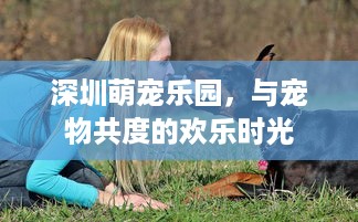 深圳萌宠乐园，与宠物共度的欢乐时光