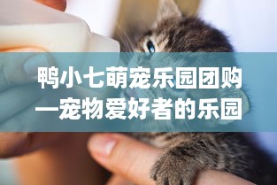 鸭小七萌宠乐园团购—宠物爱好者的乐园