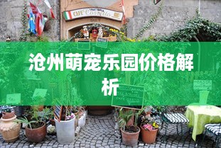 沧州萌宠乐园价格解析
