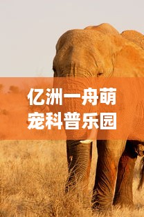 亿洲一舟萌宠科普乐园—探索动物世界的奇妙之旅
