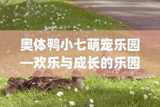 奥体鸭小七萌宠乐园—欢乐与成长的乐园
