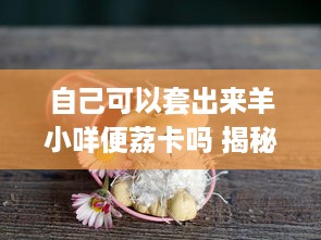 自己可以套出来羊小咩便荔卡吗 揭秘羊小咩便荔卡的奥秘，我能套出来吗？