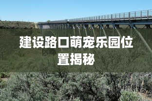 建设路口萌宠乐园位置揭秘