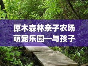原木森林亲子农场萌宠乐园—与孩子共度的欢乐时光