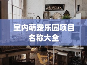 室内萌宠乐园项目名称大全