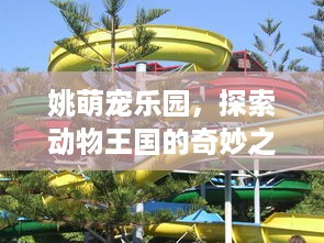 姚萌宠乐园，探索动物王国的奇妙之旅