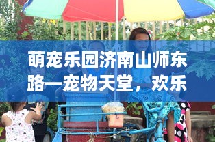 萌宠乐园济南山师东路—宠物天堂，欢乐无限