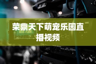 荣鼎天下萌宠乐园直播视频