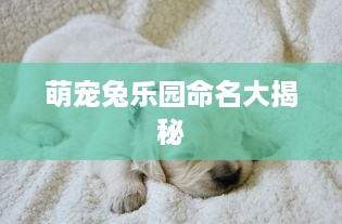萌宠兔乐园命名大揭秘